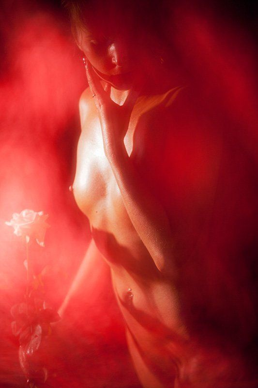 Розаphoto preview