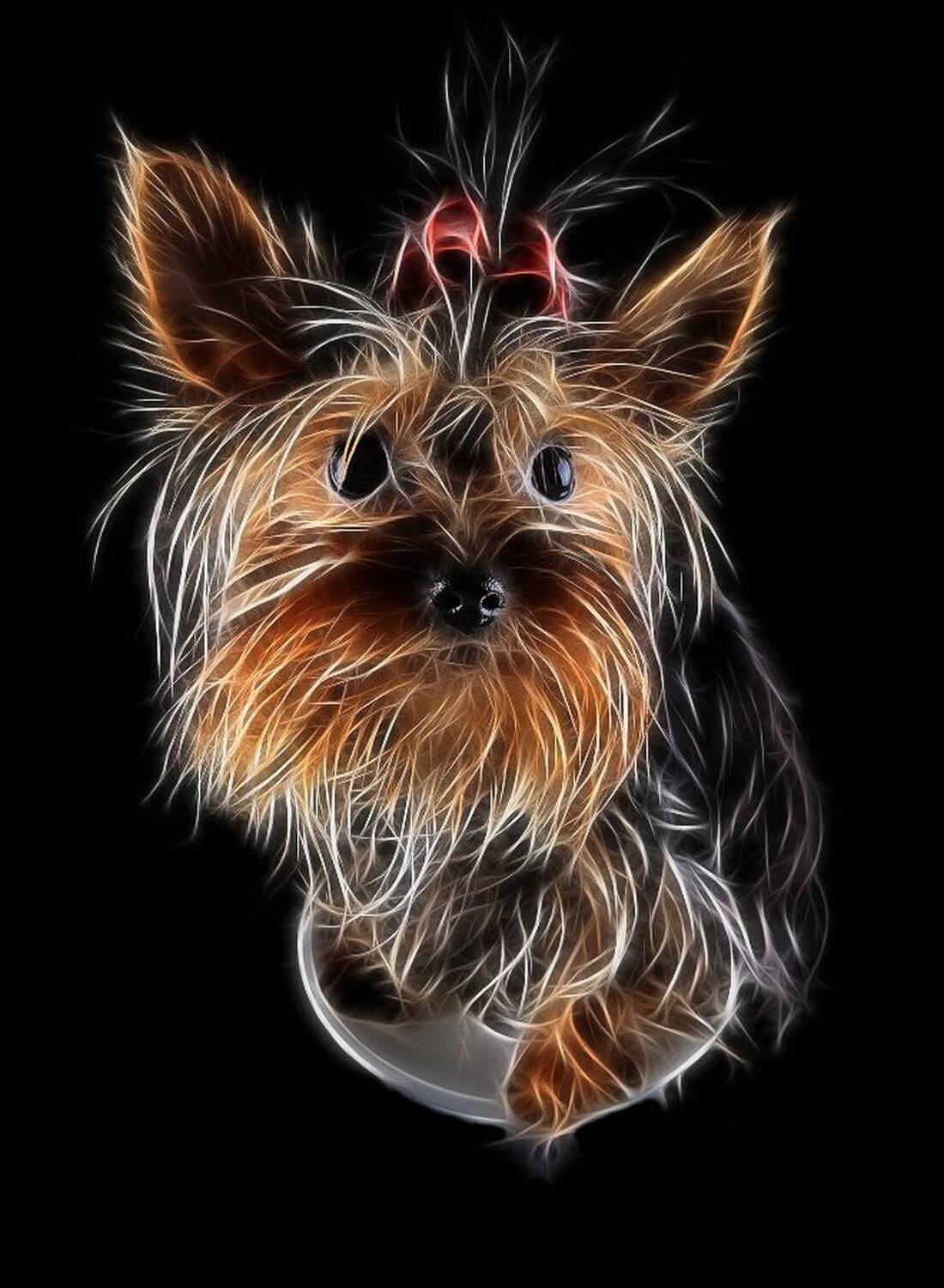 Чудо-чудное. Автор: Вадим Овчинников , Вадим Овчинников