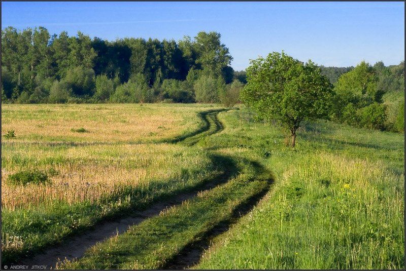 пейзаж По тропе, убегающей вдаль.. фото превью