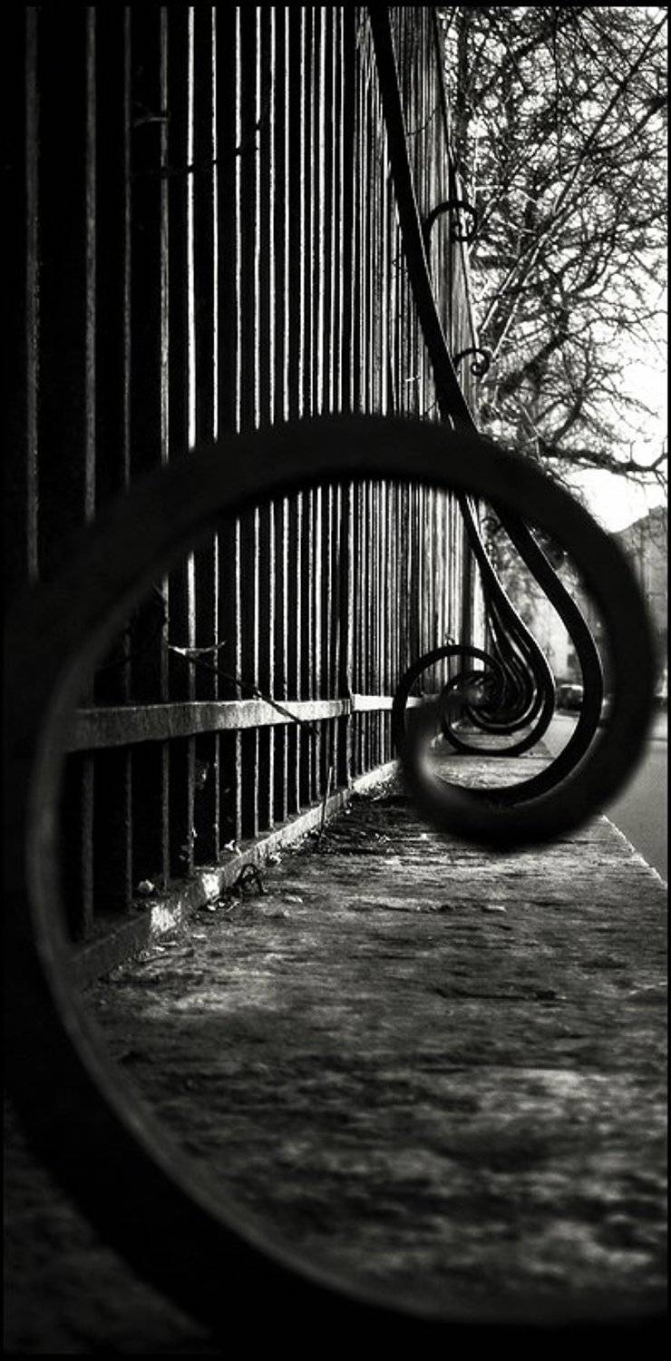 запятая. Автор: Андрей Литов санкт-петербург, ограда, Андрей Литов