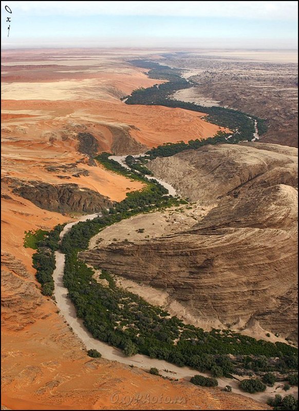 дюны, пустыня намиб, намибия, африка, dunes, namib desert, namibia, africa Песок, камень и жизнь между ними...photo preview
