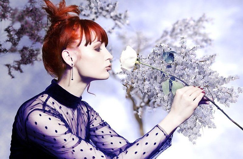 Kiss from a Rosephoto preview