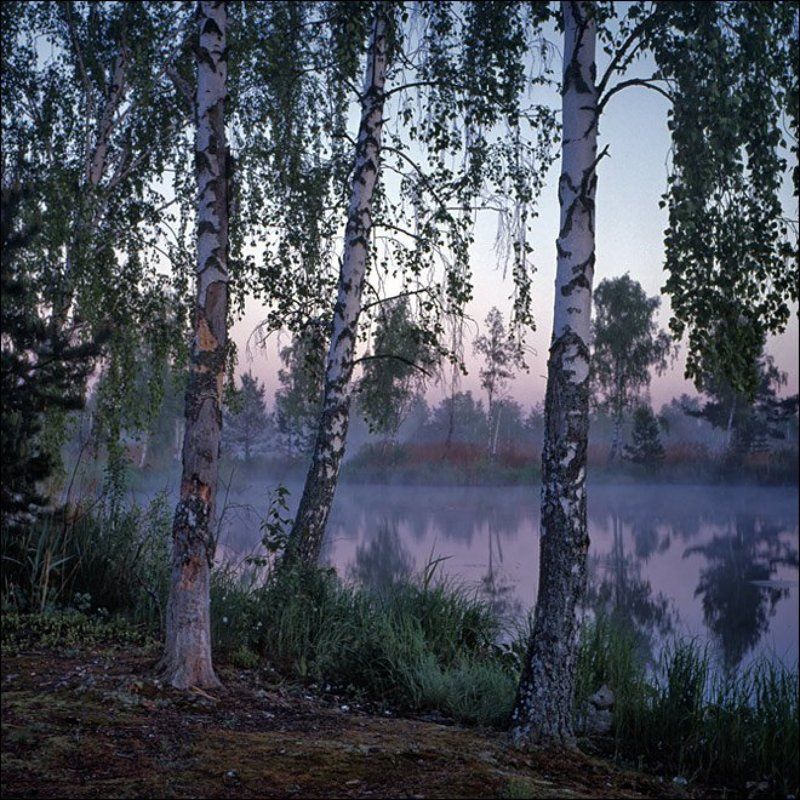 Утренняя слайдовая картинка с видом на пень у середниковского пруда с востокаphoto preview