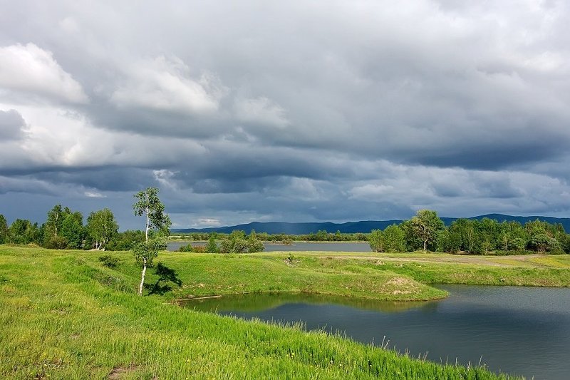 лето, тучи, береза * * *photo preview