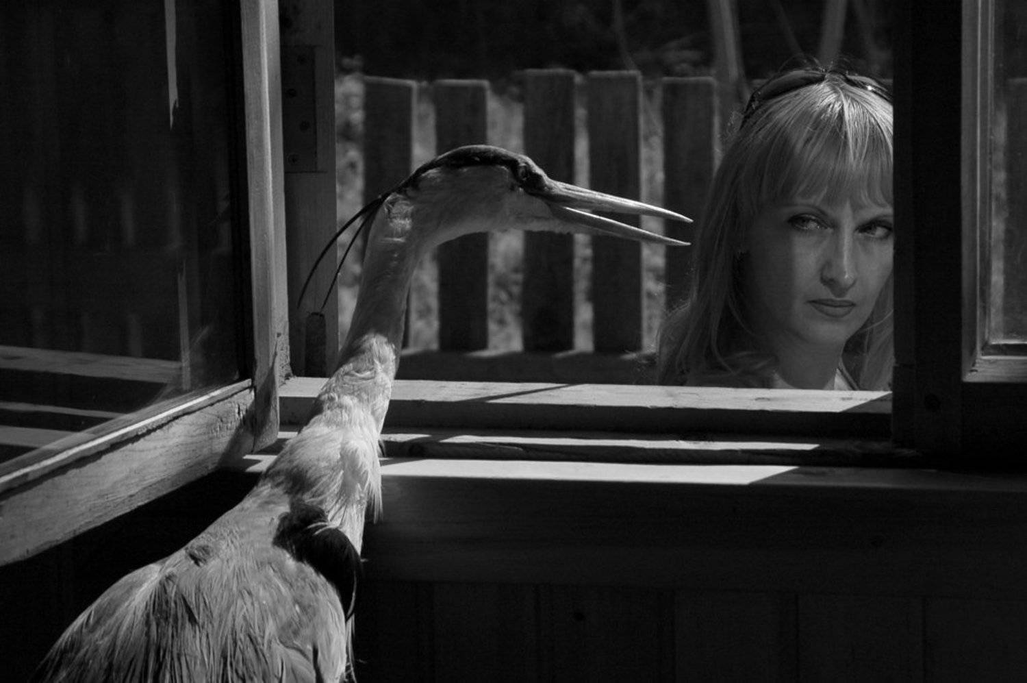 бросаю желанье быть нужной.... Автор: Andrew Ni , Andrew Ni