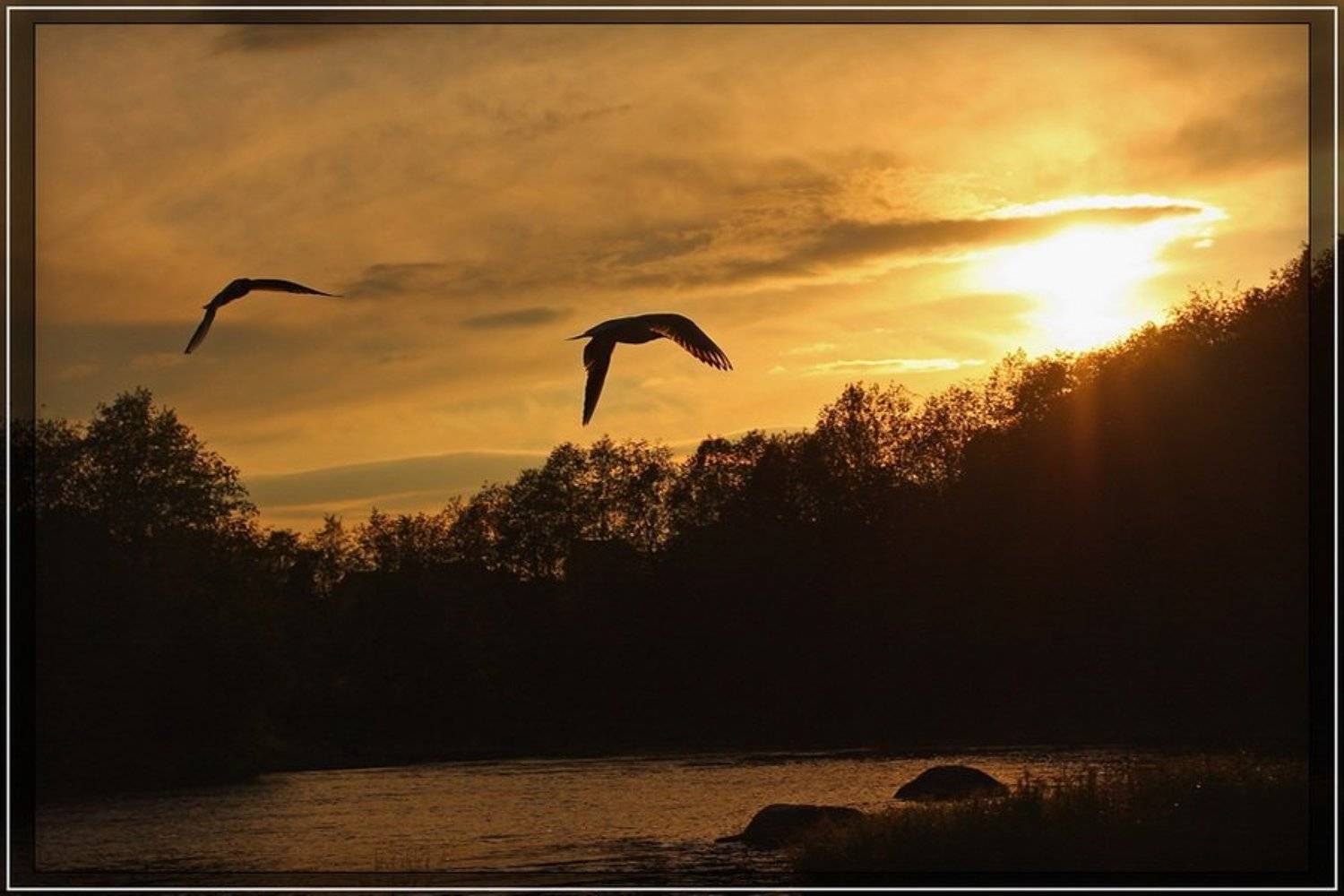 Вслед за солнцем. Автор: Владимир закат, солнце, птицы, силуэт, Владимир