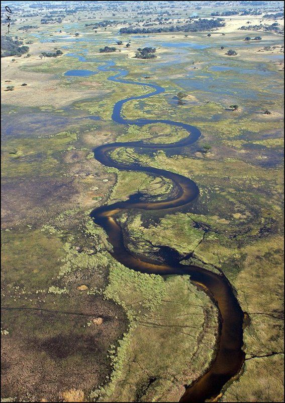 africa, botswana, okavango delta, африка, ботсвана, дельта окаванго Огромный оазис посреди пустыни...photo preview