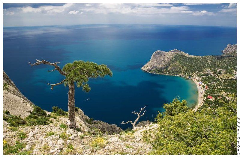 земля, пейзаж, крым, новый свет, черное море, море, горы, гора, сосны, природа, лето А земля то круглая!photo preview