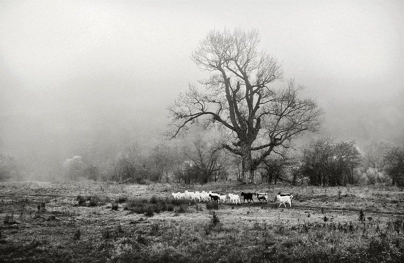 тихое местоphoto preview