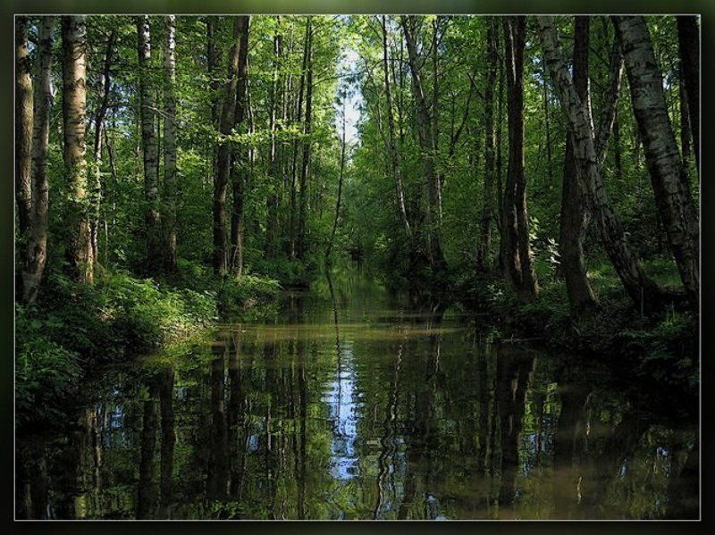 петергоф,ручей Канавка #2photo preview