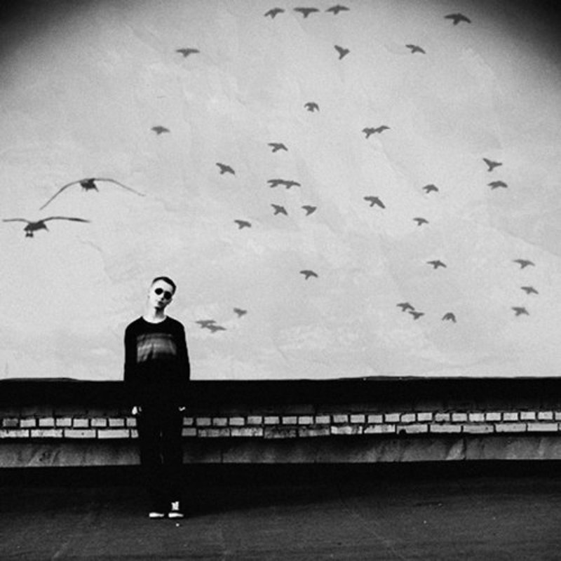 raindrops on my roof*photo preview