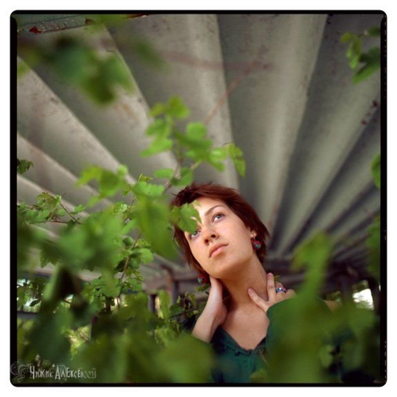 броника *photo preview