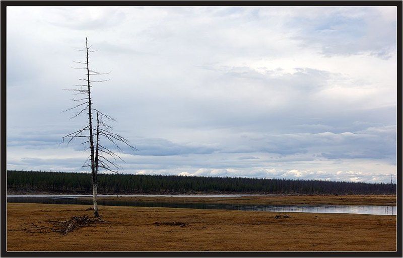 весна, север, якутия Одиночествоphoto preview