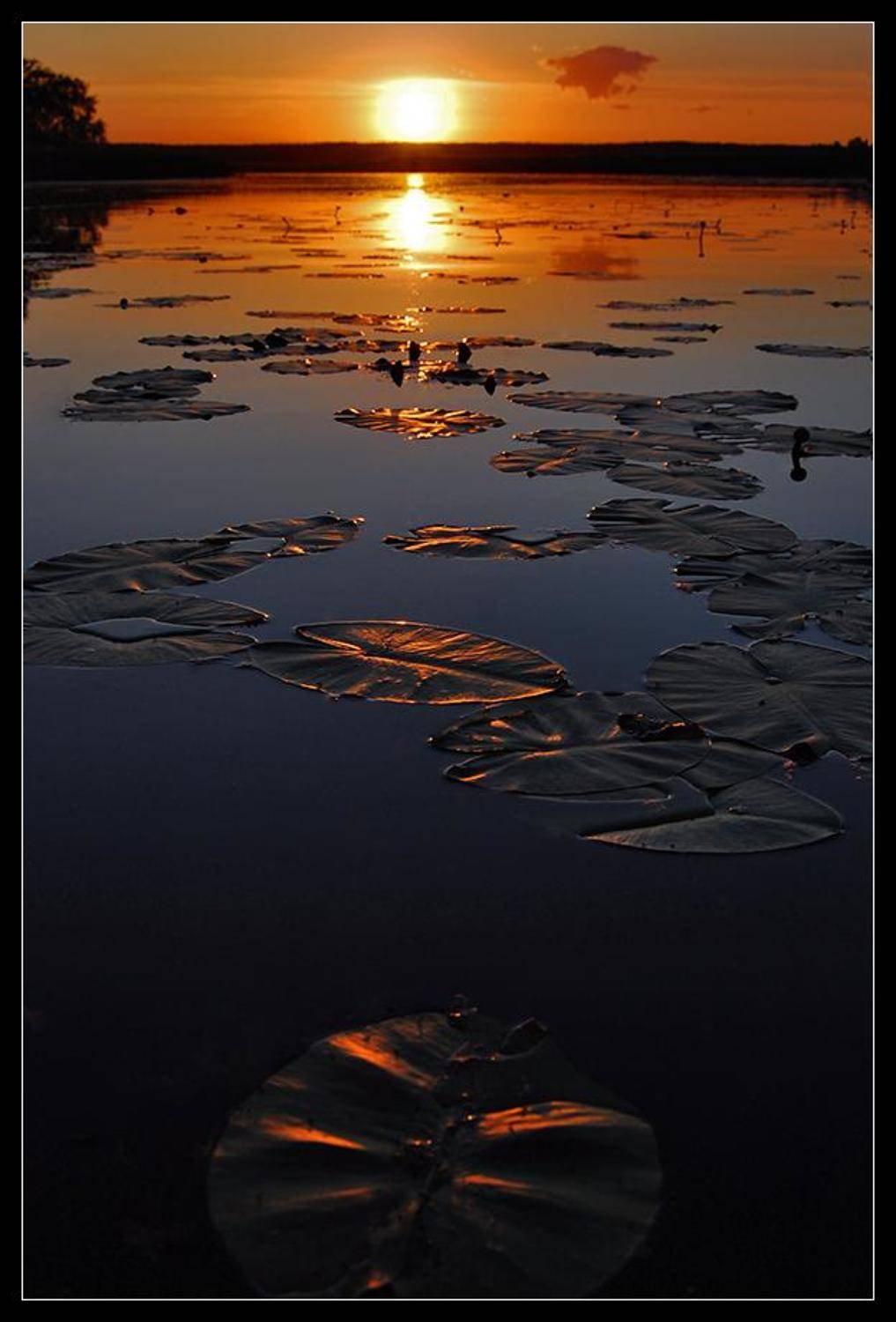 , Срибный Евгений