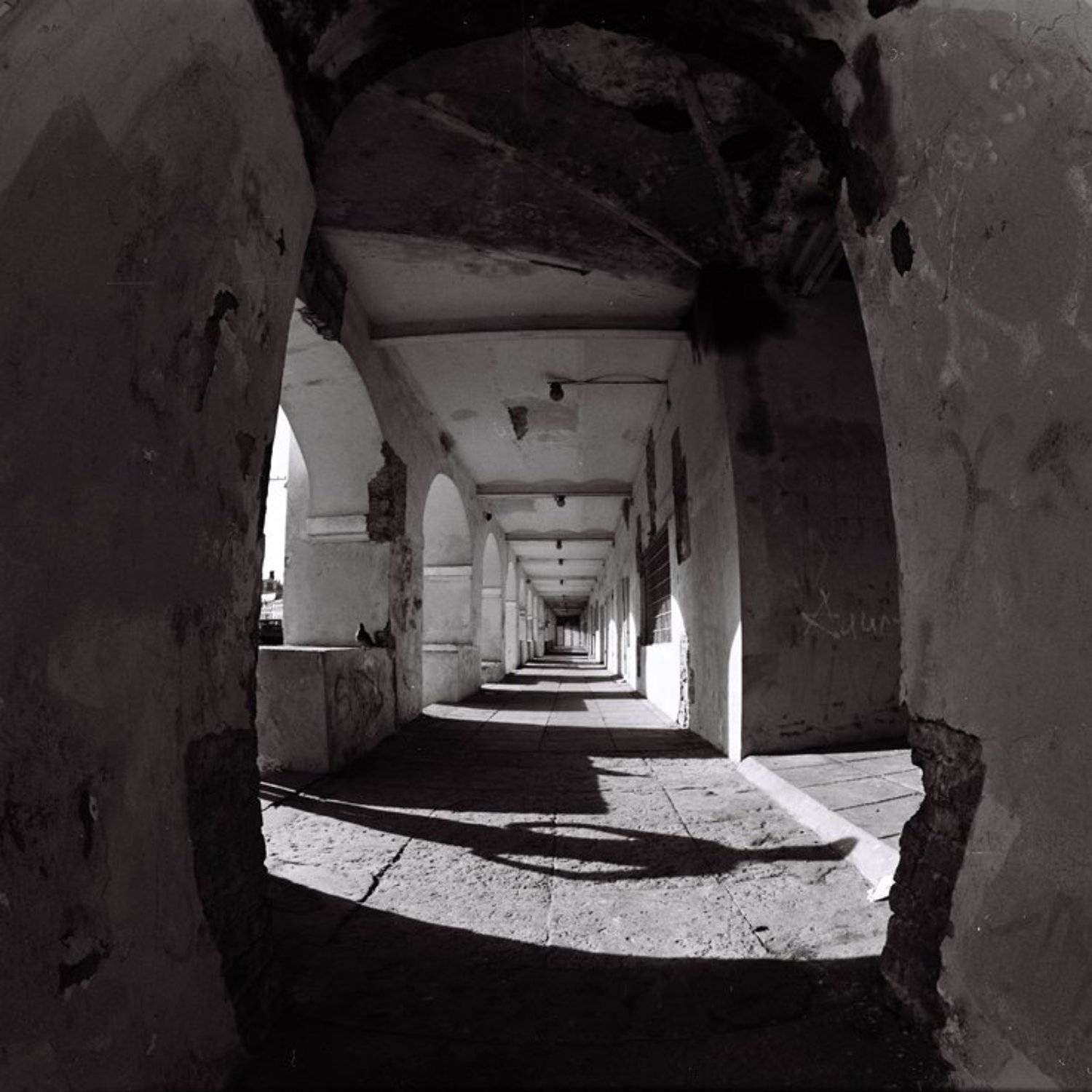 6х6,фотоплёнка,негатив, b&w, Sergey Tarba