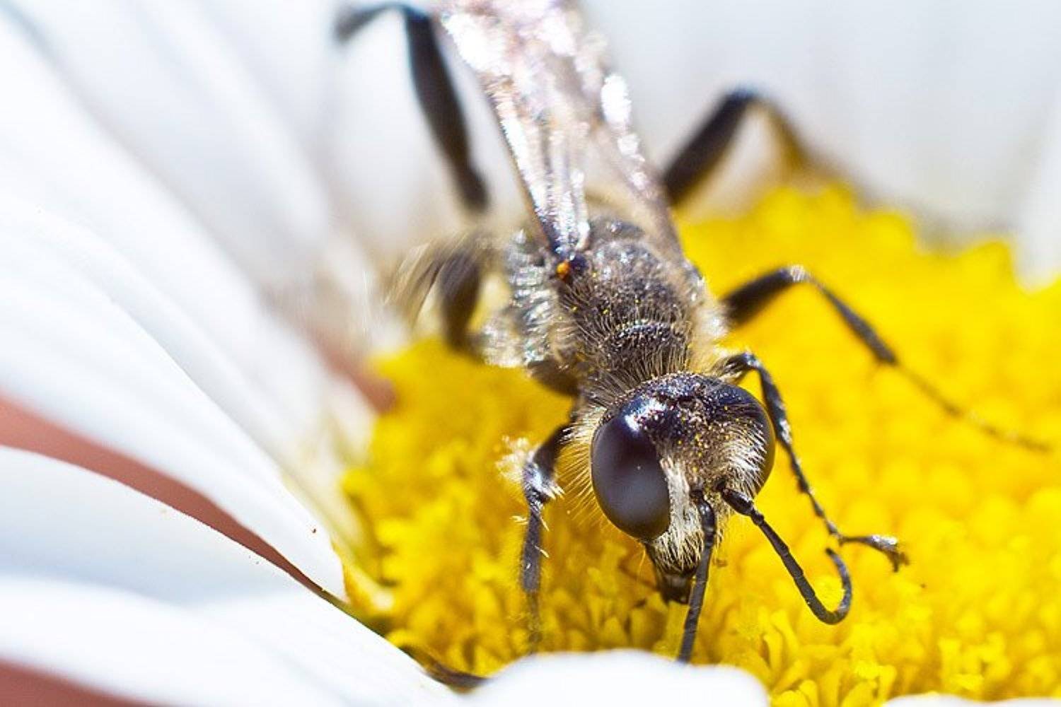 ***. Автор: ReF , ReF