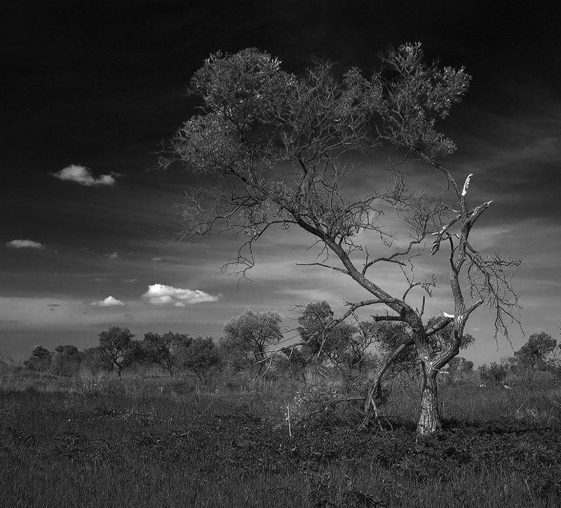 Не сдаться!photo preview