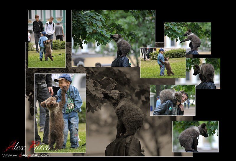 питер,отдых,путешествие Питер 004\\забавы\\ фото превью