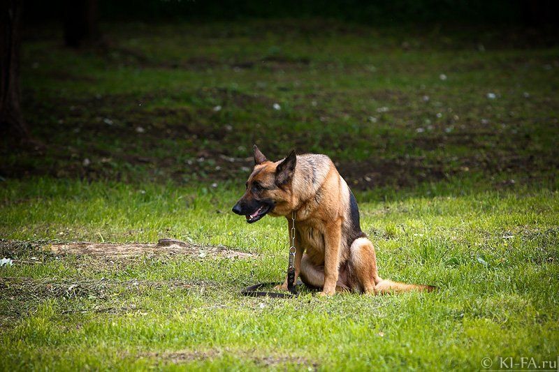 Оставилиphoto preview