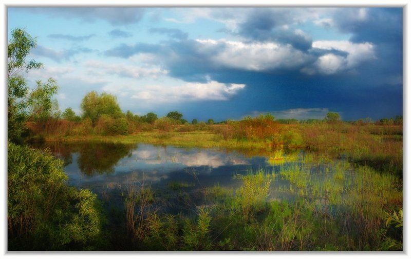 А сердце оставляю вам...photo preview