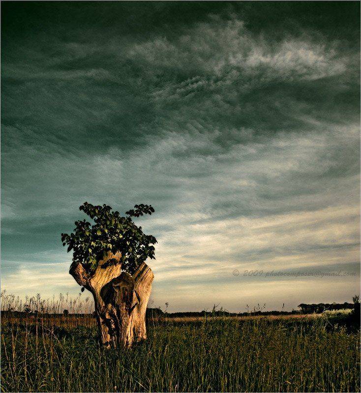 пейзаж, pilgrim, весна, банальный закат, Pilgrim