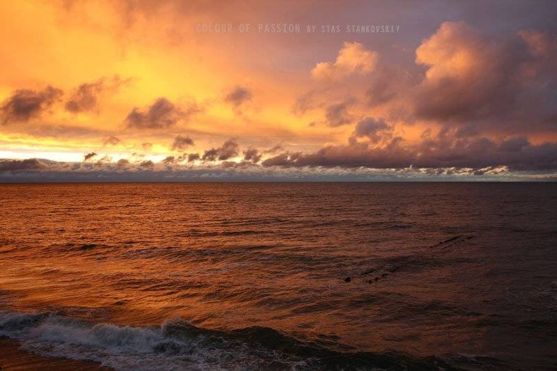 Colour of passion. Автор: Станислав Станьковский , Станислав Станьковский
