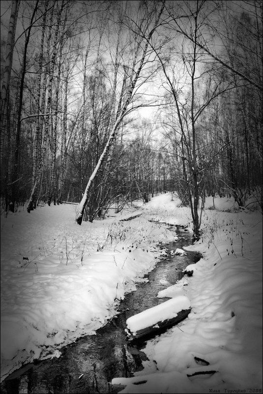 декабрьская, гравюра Февральская гравюраphoto preview