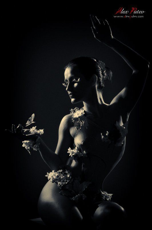 lines, and, forms Lines and formsphoto preview