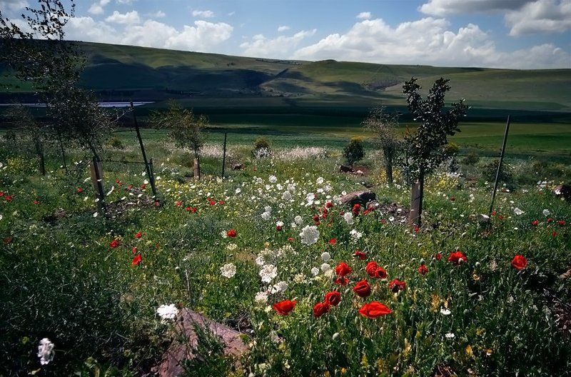 Гражданский мирphoto preview