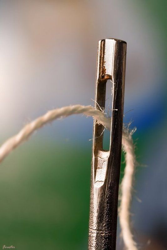 игла, макро Иглаphoto preview