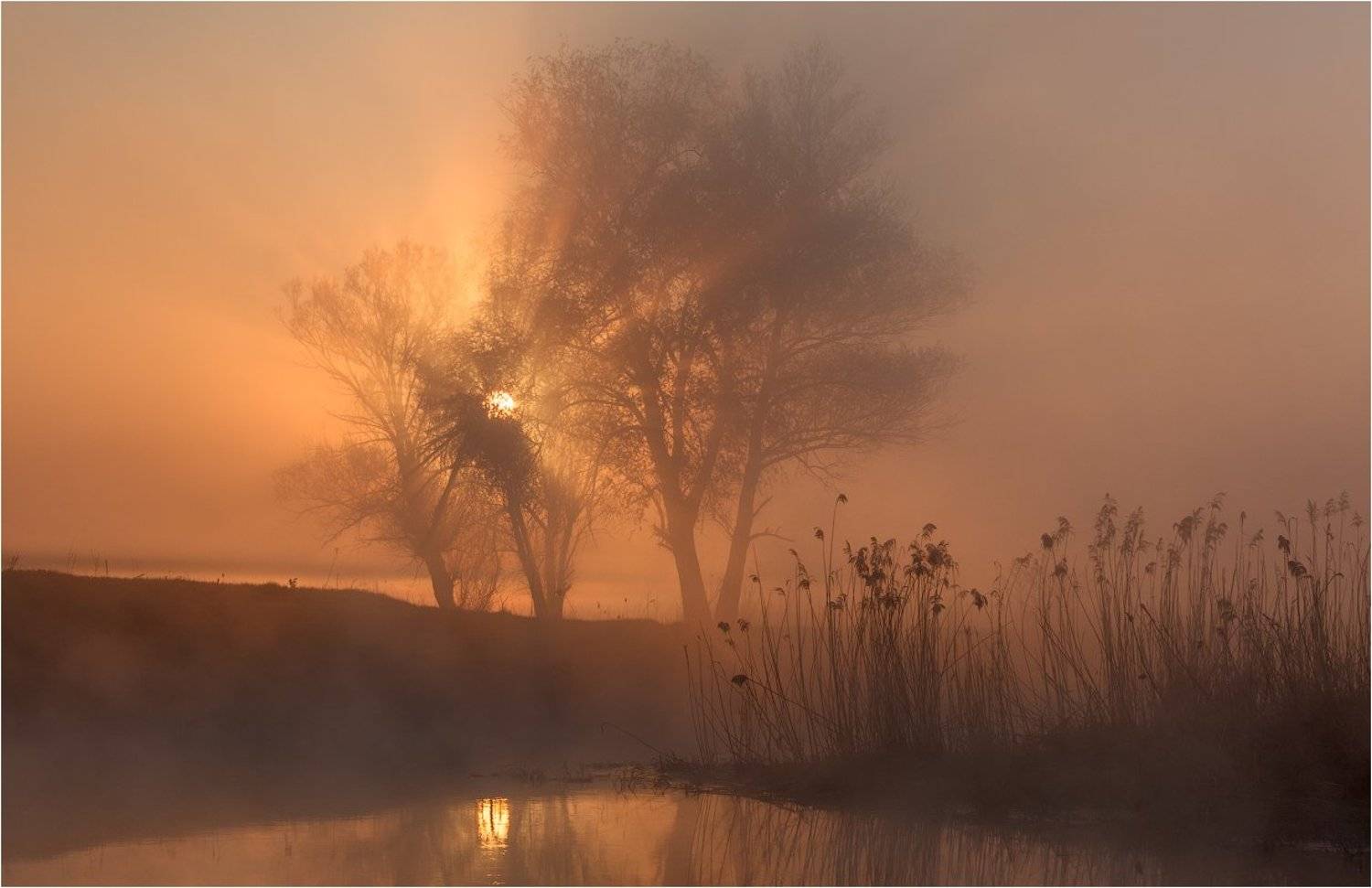 Лизогубовка, Рассвет, Украина, Утро, Харьковская область, Юрий (Phototours.pro) Шевченко