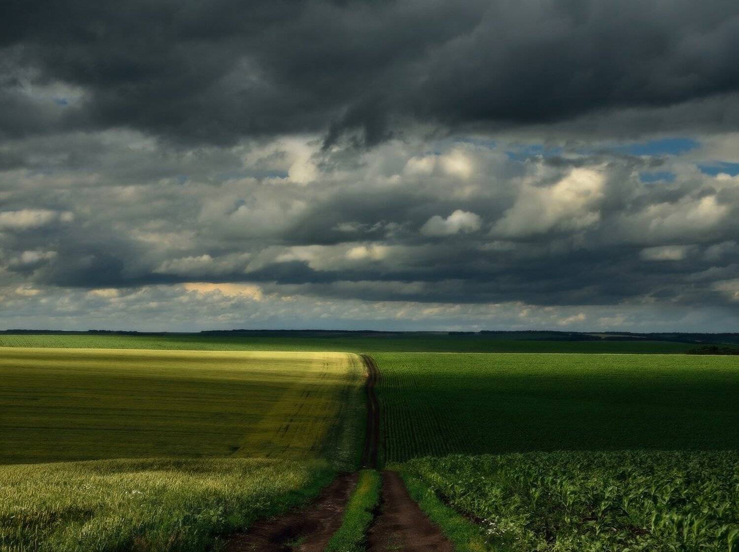 Грозовая дорога. Автор: Животков Андрей , Животков Андрей