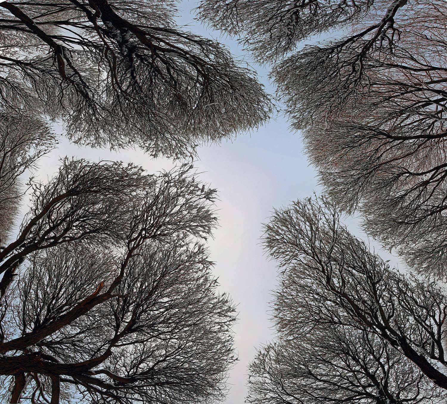 , Лихарев Александр