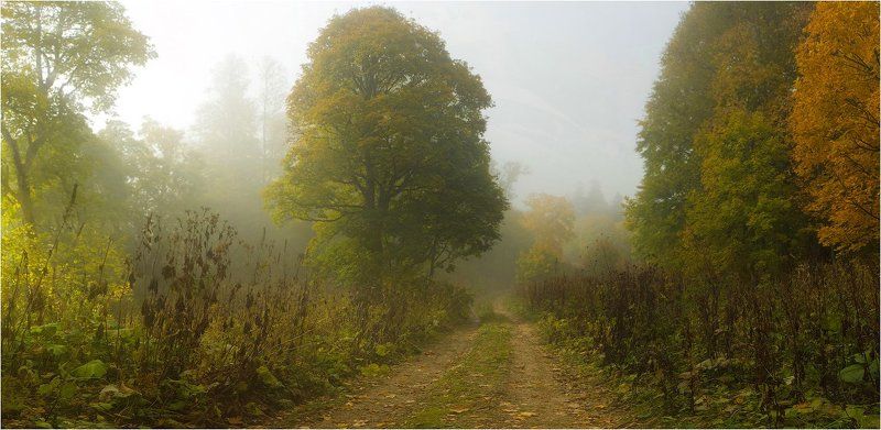адыгея, осень ещё раз об осени в Адыгее...photo preview