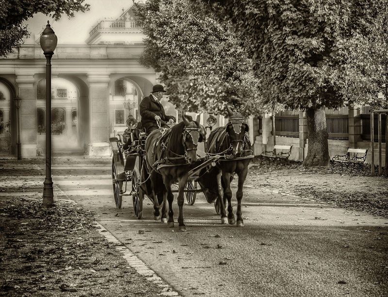 Венские зарисовки...photo preview