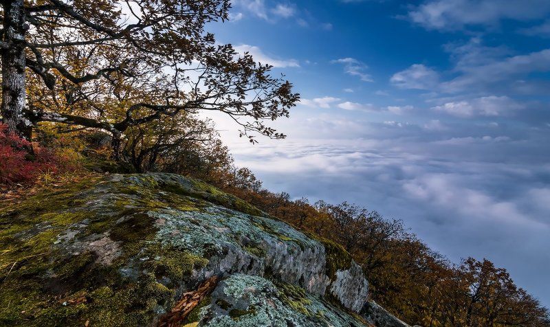 по над усімphoto preview