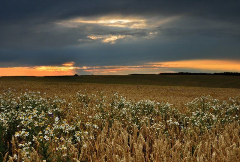 Отгремела вечерняя грозаphoto preview