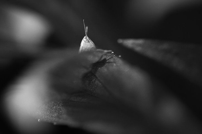 Пряткиphoto preview