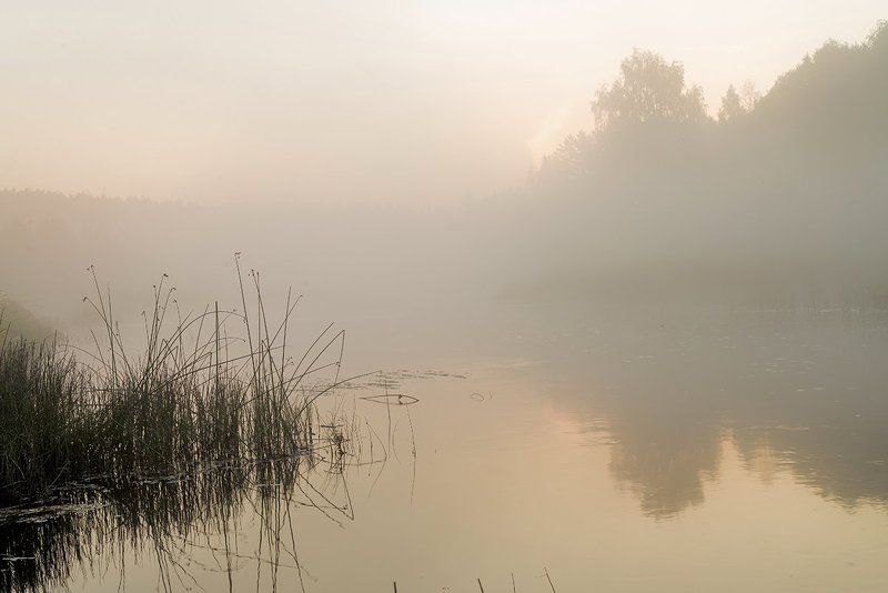 Утро сентябряphoto preview