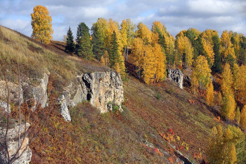 Золотые склоныphoto preview