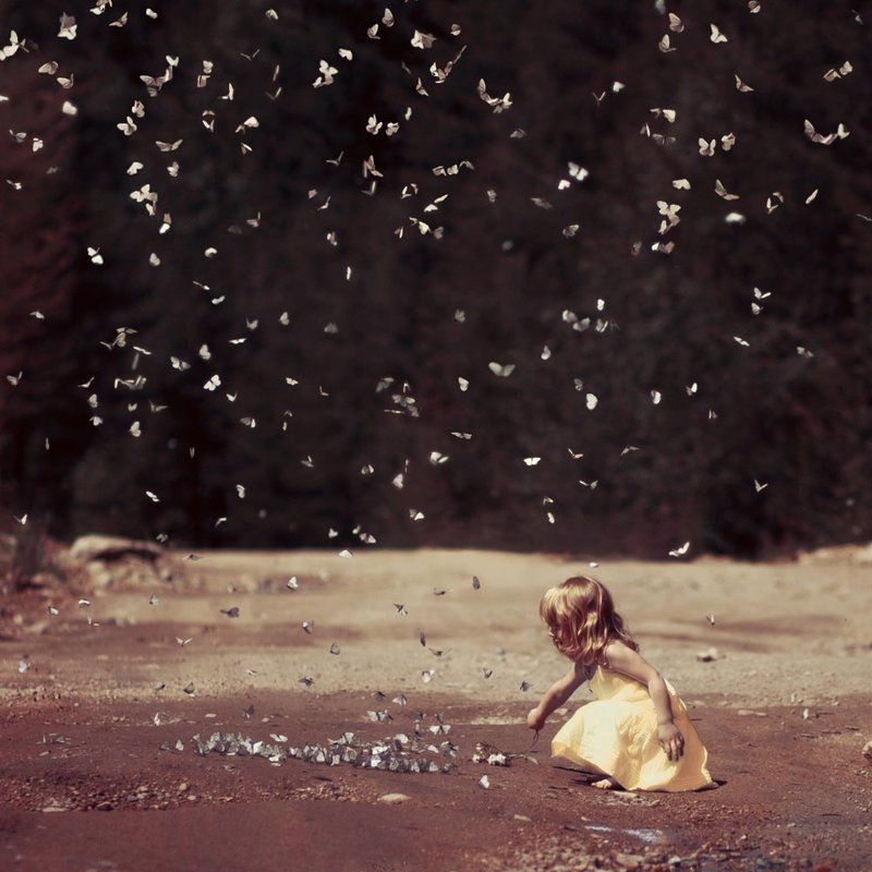 Butterfly, Girl butterfliesphoto preview