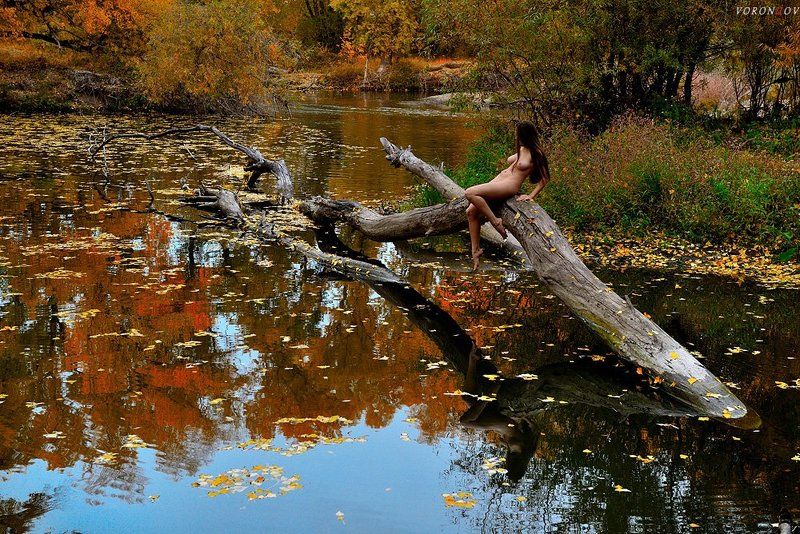 девушка,ню,осень,красота, Золотая русалкаphoto preview
