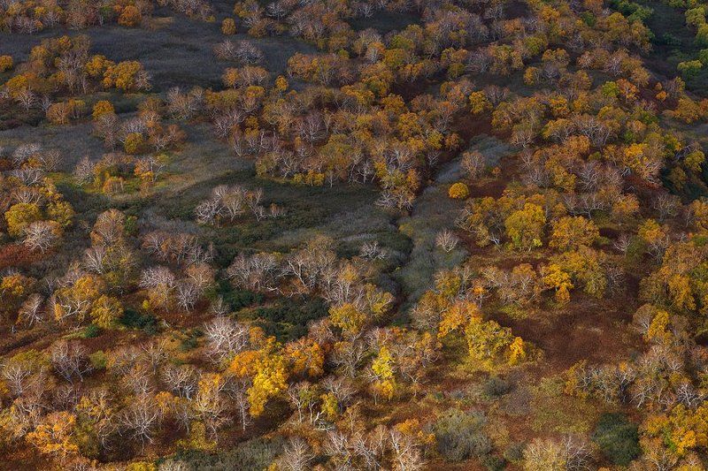 Вулкан, Камчатка, Фототур Осенний марафонphoto preview