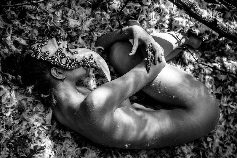 Birds, Carrion_Crow, Girl, Nest Carrion_Crowsphoto preview