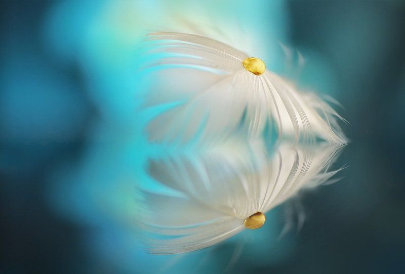 Фантазии с перышками и каплямиphoto preview