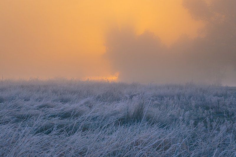 осколки прошлой осениphoto preview