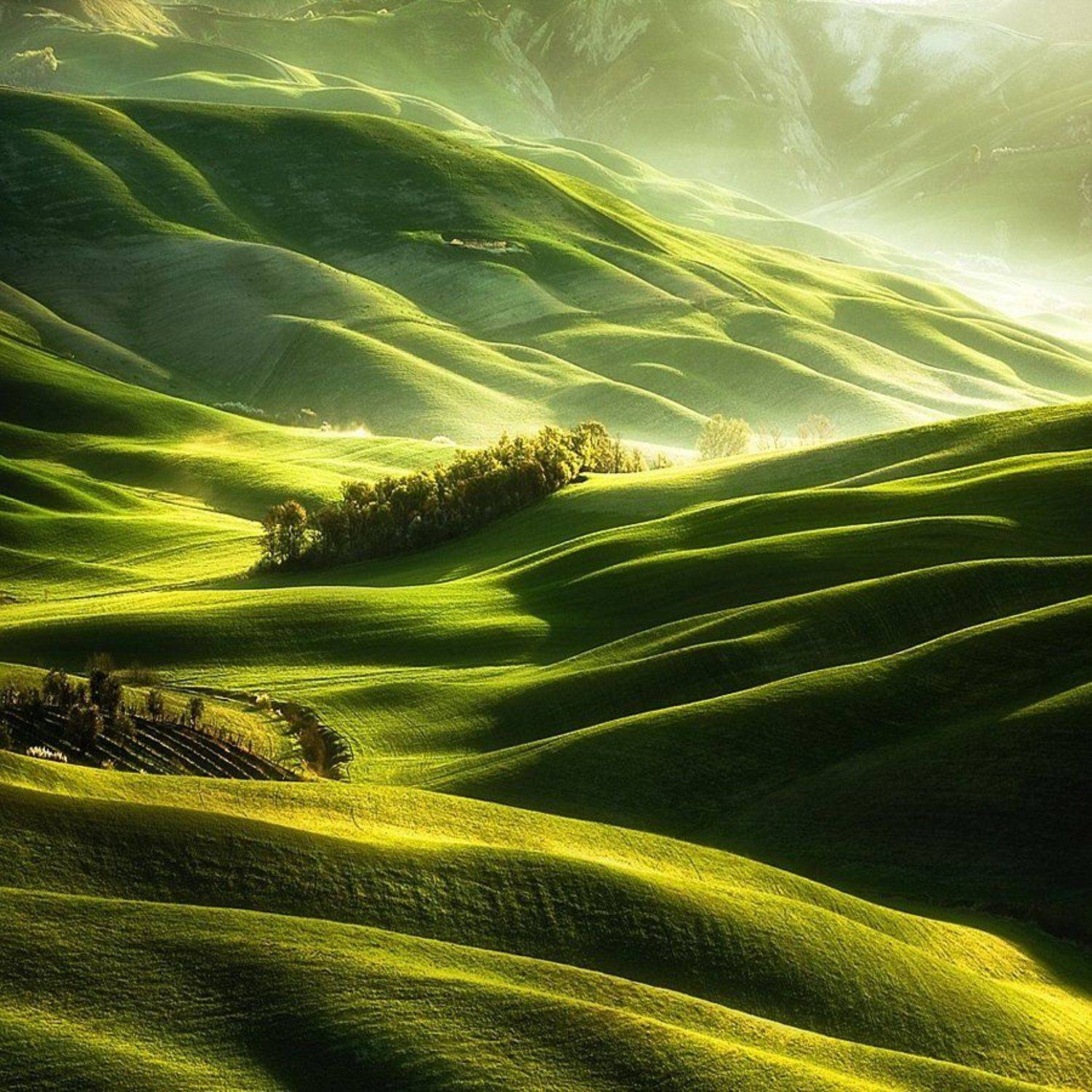 Spring, Tuscany, Boguslaw Strempel