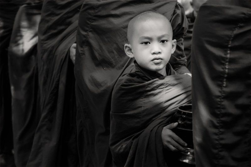 thirsty monkphoto preview