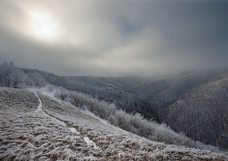 Жигулевские горы, Жигули, Зима, Иней, Мороз, Национальный парк, Облака, Самарская лука, Тропинка, Туман, Утро Последний день зимыphoto preview