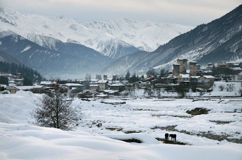 Грузия, Местиа, Сванетия Про лошадок и башенкиphoto preview